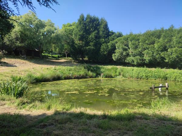 Terrain de loisirs avec son plan d'eau