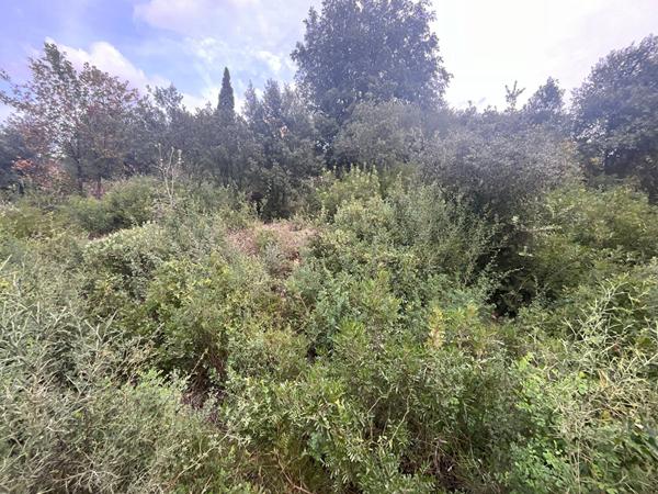 A VENDRE EXCLUSIVITE ! TARADEAU - Terrain constructible de 770 m²