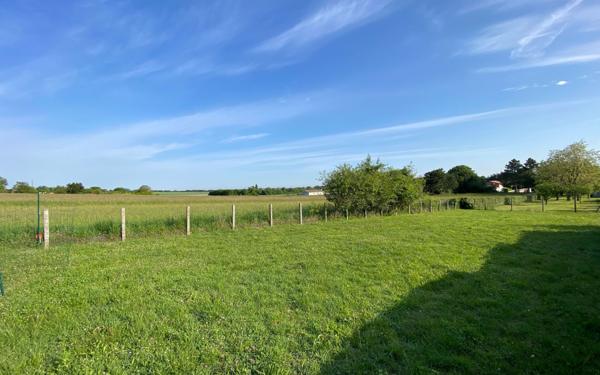 Terrain à vendre    Arvert