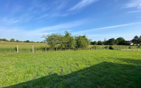 Terrain à vendre    Arvert