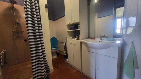 Grande maison ancienne de 213 m² avec dépendance et parc arboré