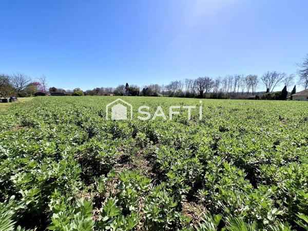 Terrain à bâtir de 8593m2 ou divisible en lots