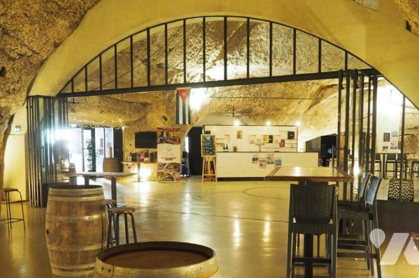 Domaine d'Exception à Saumur : Charme Authentique et Site Troglodytique Unique