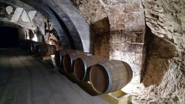 Domaine d'Exception à Saumur : Charme Authentique et Site Troglodytique Unique