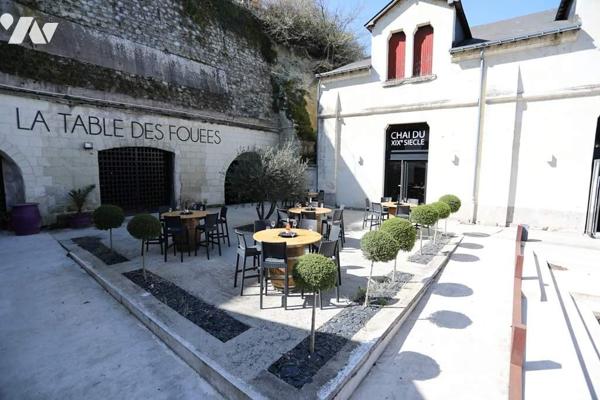 Domaine d'Exception à Saumur : Charme Authentique et Site Troglodytique Unique