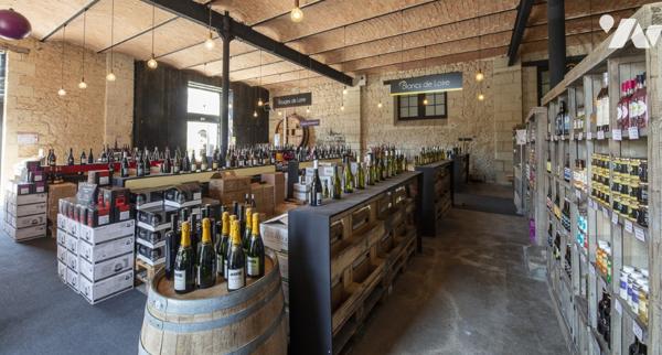 Domaine d'Exception à Saumur : Charme Authentique et Site Troglodytique Unique