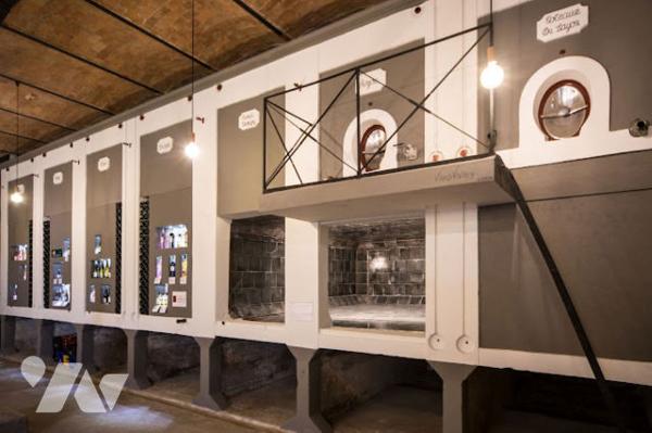 Domaine d'Exception à Saumur : Charme Authentique et Site Troglodytique Unique