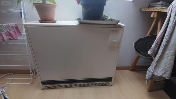 Local mixte (Pro/Hab) à vendre à Lanmeur dans le Finistère (29620), ref : iMML   
Centre ville