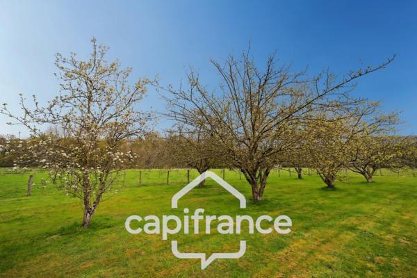 Ancienne ferme bressane, 3 chambres avec grand terrain et dépendances – Au calme, proche de Lons-le-Saunier (39000)