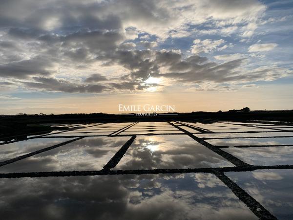 Guérande, Domaine de 37 hectares au coeur des marais salants à vendre  Pays de la Loire