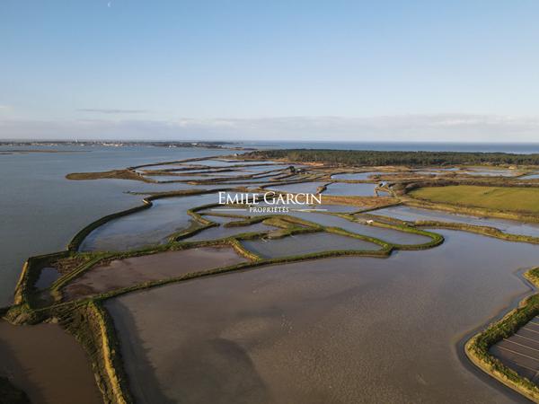 Guérande, Domaine de 37 hectares au coeur des marais salants à vendre  Pays de la Loire