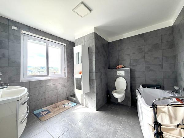 Villa contemporaine d'exception de 300 m² à Sorbiers