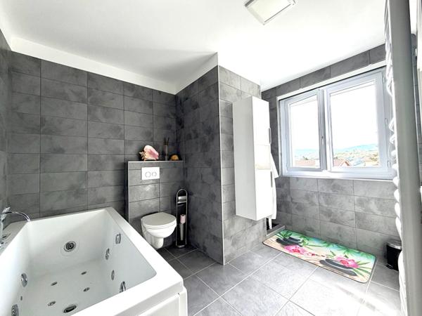 Villa contemporaine d'exception de 300 m² à Sorbiers