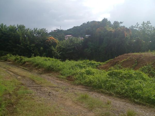 Vente Terrain 812 m2 à Le Vauclin