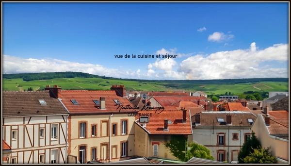 Appartement à vendre de 32m² à EPERNAY (51) Quartier La Villa
