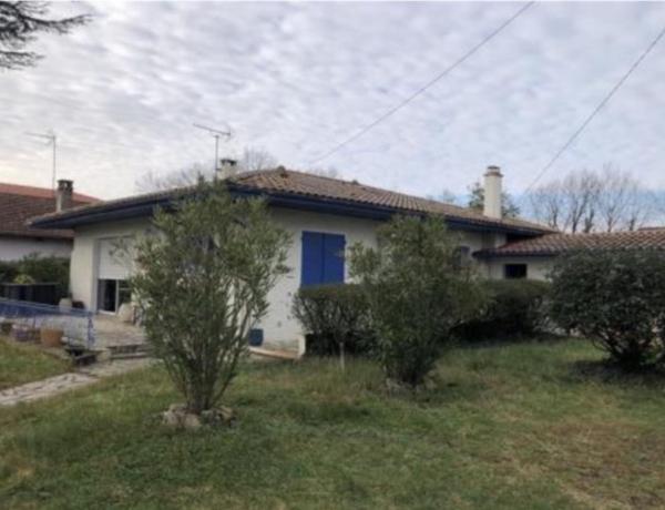 Maison de plain-pied avec jardin arboré.