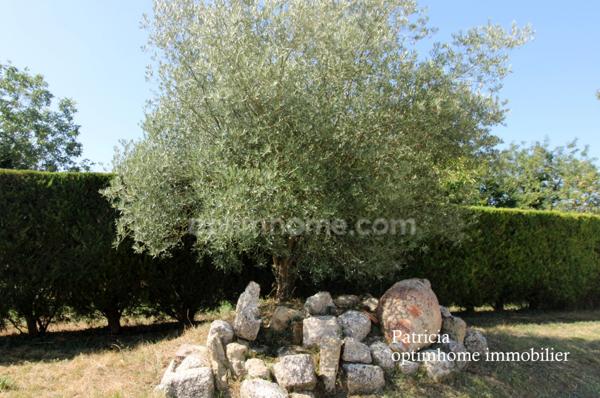 Maison haut de gamme en pierre avec son T1
