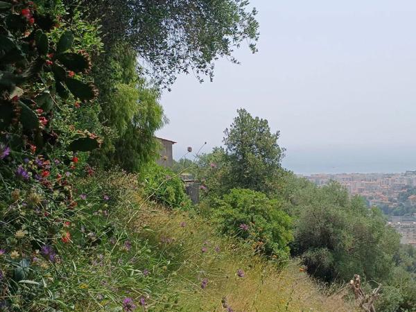 Vente Maison 11 pièces à Nice