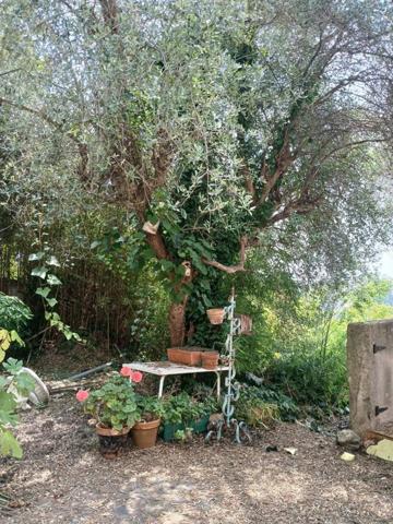 Vente Maison 11 pièces à Nice