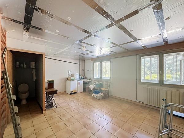 Maison familiale avec dépendances, grand sous-sol et jardin arboré