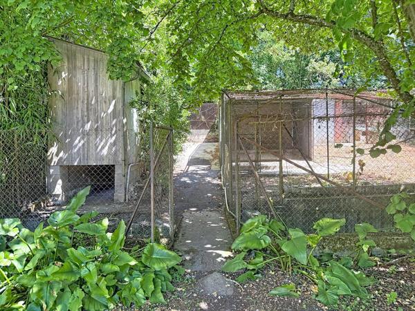 Maison familiale avec dépendances, grand sous-sol et jardin arboré
