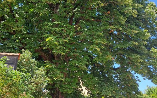 Maison à vendre    7 pièces • 191,24 m2 Poitiers