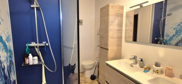 Maison de plain-pied, deux garages et jardin