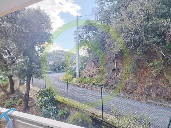 Appartement à AMELIE LES BAINS PALALDA (66110)