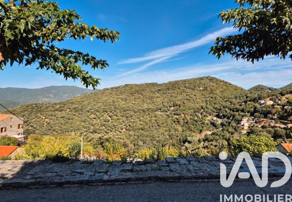 Terrain à vendre 750 m² Sollacaro