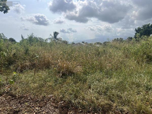 Terrain à Batir à vendre à Saint-Pierre à la Réunion (97432), ref : 97411-353