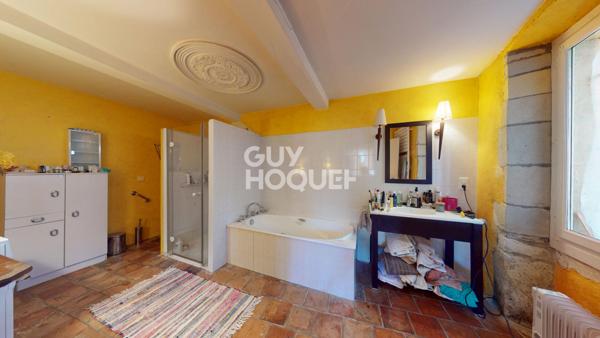 Magnifique maison de maître 353 m² avec dépendances, jardin et 1,6 ha de bois