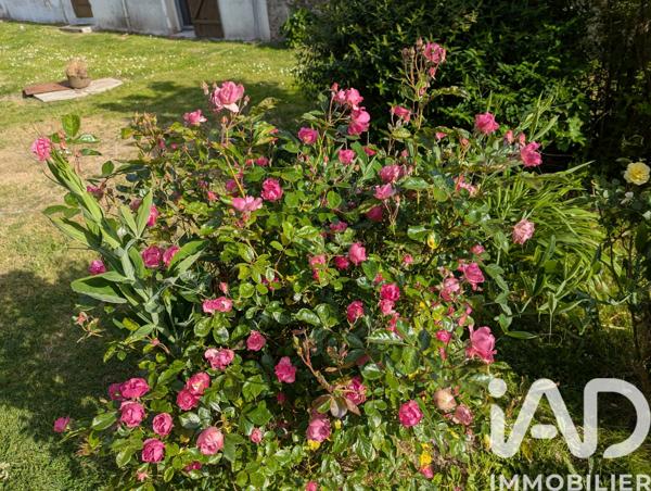 Maison à vendre 6 pièces 153 m² Mauves-sur-Loire