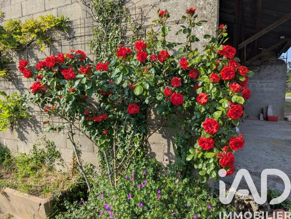 Maison à vendre 6 pièces 153 m² Mauves-sur-Loire