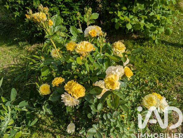 Maison à vendre 6 pièces 153 m² Mauves-sur-Loire