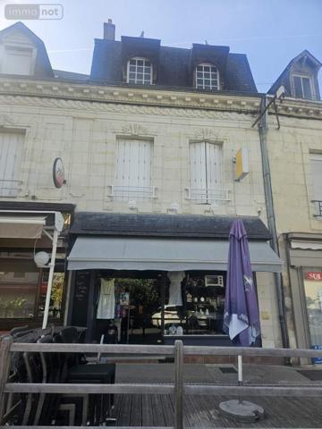 Local mixte (Professionnel/Habitation) à vendre à La Chartre-sur-le-Loir dans la Sarthe (72340), ref : 130652