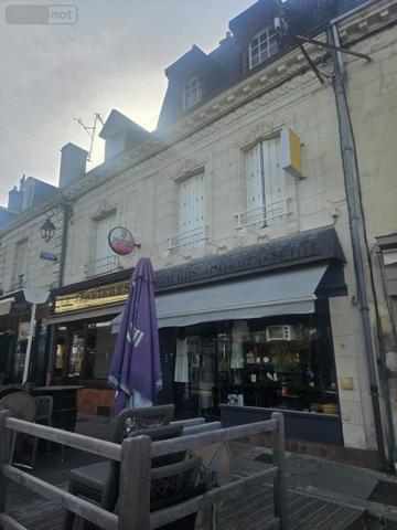 Local mixte (Professionnel/Habitation) à vendre à La Chartre-sur-le-Loir dans la Sarthe (72340), ref : 130652