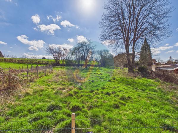 Saint-Benin-d'Azy (58270) Maison en pierre rénovée entièrement, 3 chambres, garage et cave sur jardin clos