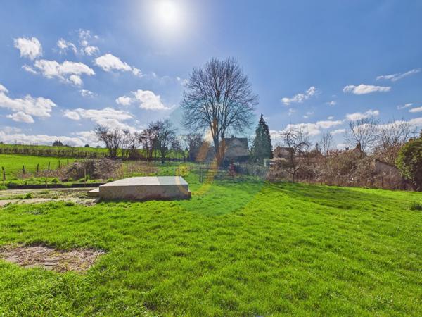 Saint-Benin-d'Azy (58270) Maison en pierre rénovée entièrement, 3 chambres, garage et cave sur jardin clos