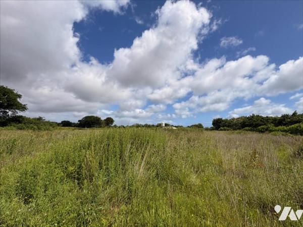 Propriété à rénover située à LEZARDRIEUX