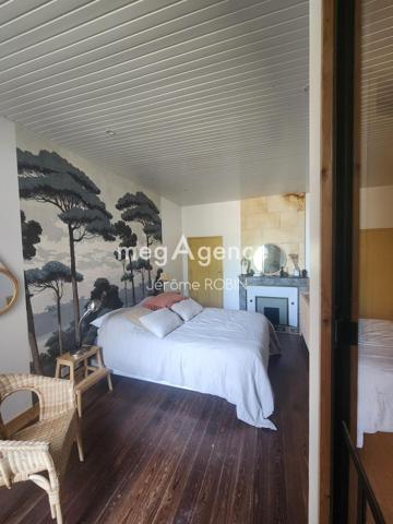 Maison à SAINT-ANDRE-DE-CUBZAC, 33240 - 15 pièces 315m²