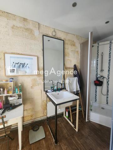 Maison à SAINT-ANDRE-DE-CUBZAC, 33240 - 15 pièces 315m²