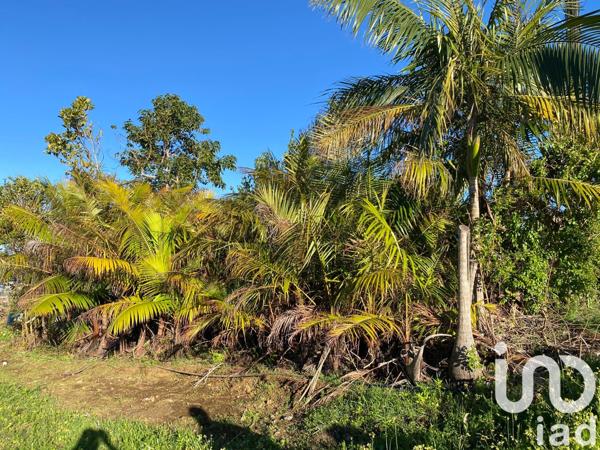 Maison à vendre 6 pièces 90 m² Les Avirons