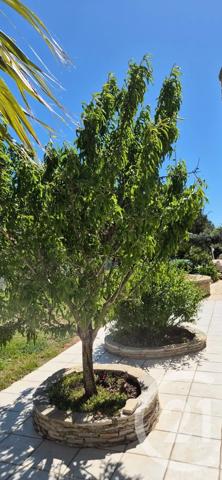 Maison à vendre  6 pièces - 196 m 2   BEZIERS  - 34