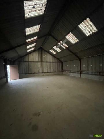 Vente / Immeuble à Tribehou (50620)