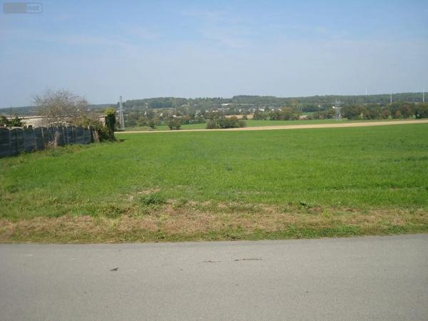Achat - Terrain à bâtir Treffléan 56250 600 m 2
