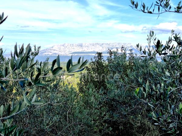 Maison à vendre 3 pièces (13)