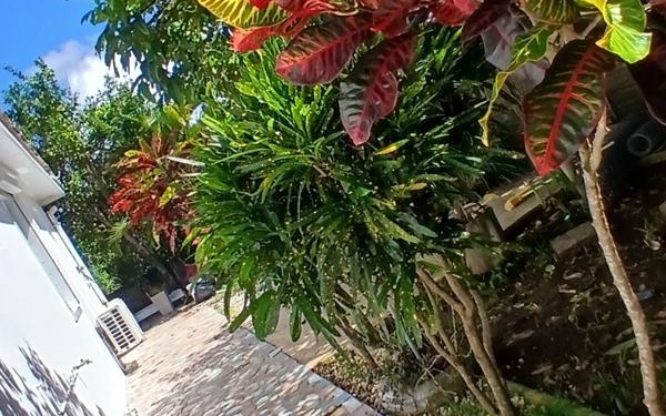 Maison à louer    4 pièces •  Ducos