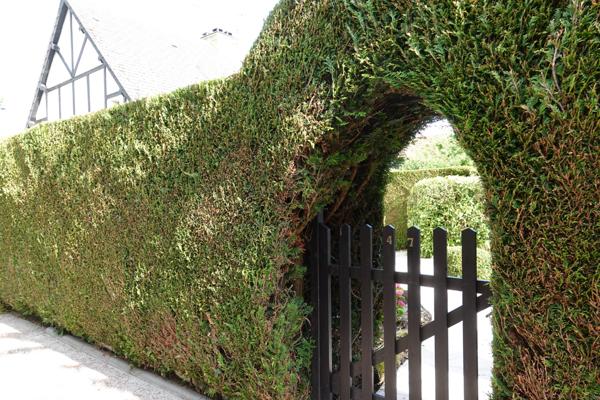 Cabourg (14390) Maison Cottage 45 m²