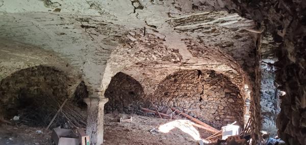 Mayres-Savel (38350) TENEMENT IMMOBILIER SUR LA COMMUNE DE MAYRES SAVEL