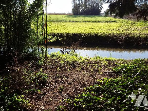 MAISON DE QUALITE PROCHE CENTRE VILLE COUR-CHEVERNY ET A 10 MNS DE BLOIS